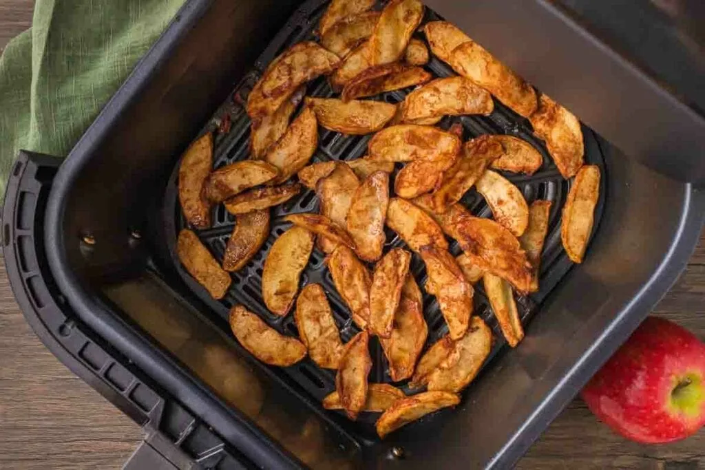Air Fryer Dehydrator Recipes
