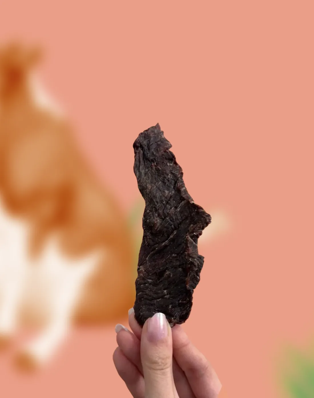 Beef jerky strips