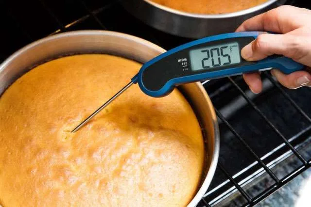 Instant-read thermometer