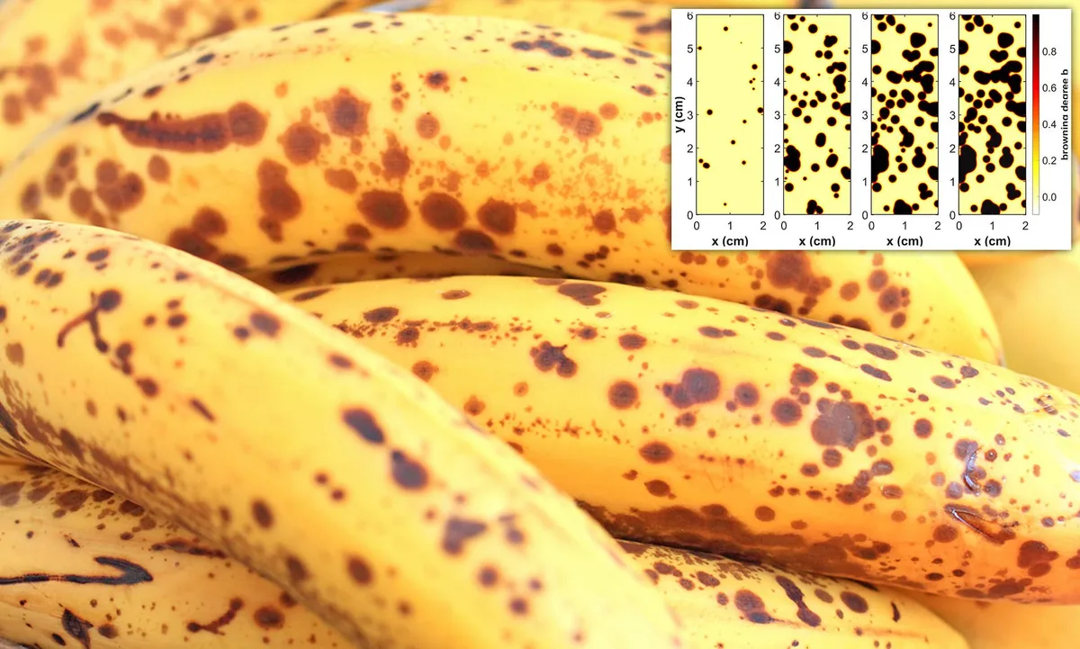 Ripe Cavendish Bananas